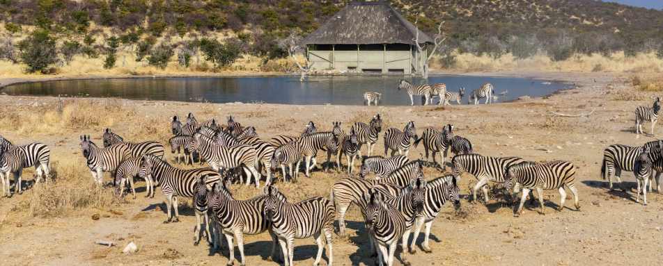 Safarihoek Lodge- 35