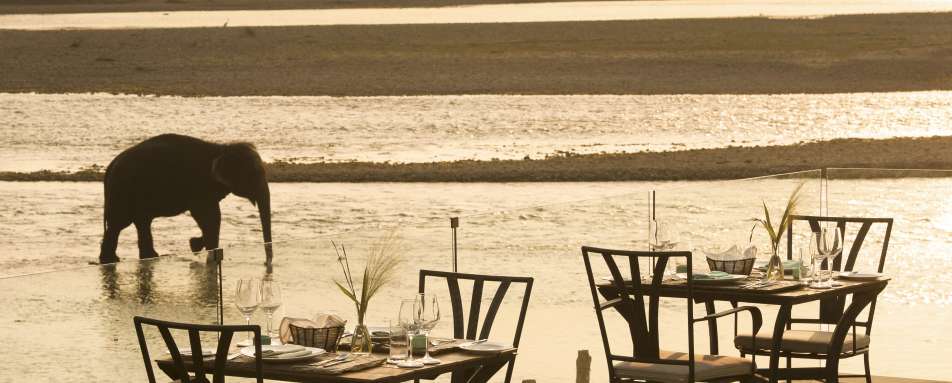 Meghauli Serai, Taj Safaris- 24