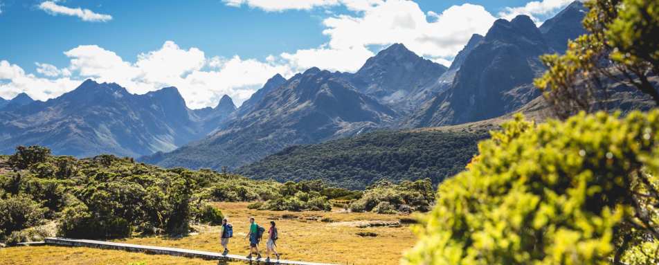 Landscape   - Fiordland Lodge