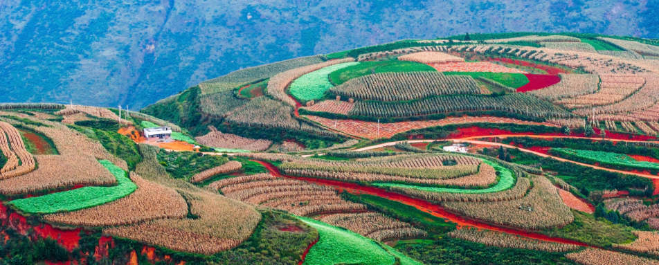Dongchuan