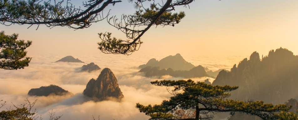 The Yellow Mountains
