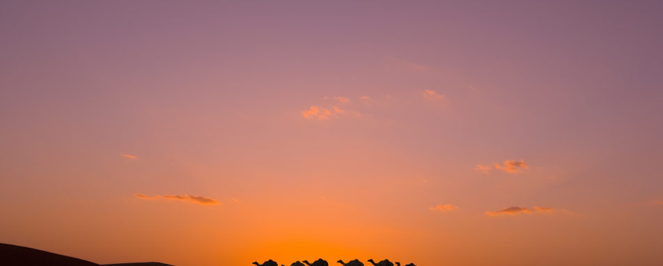 Sunset in Wahiba Sands - Canvas Club