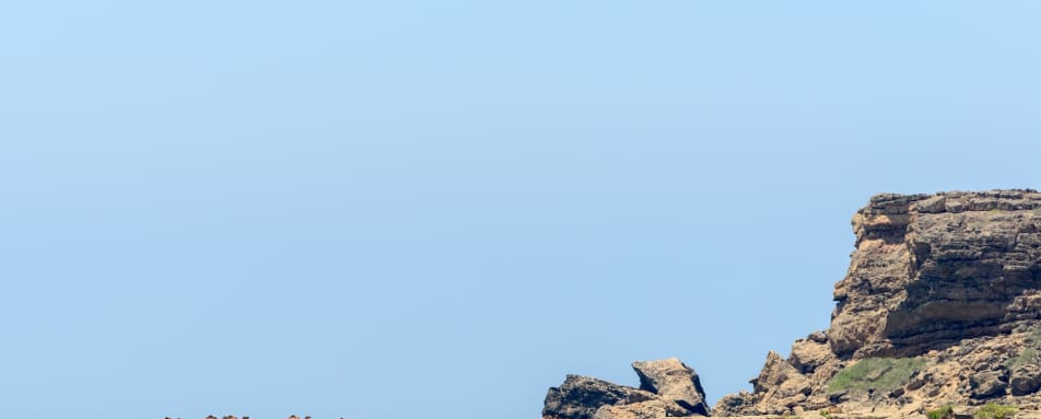 Jebel Safari Tour in the Dhofar Mountains