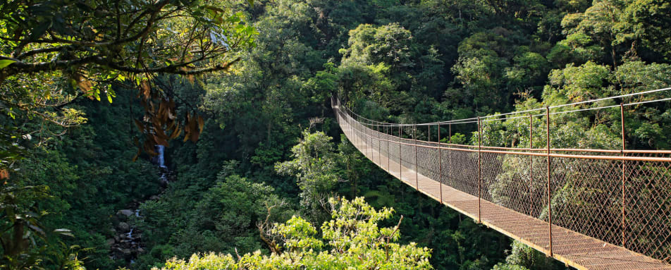 Boquete Hanging Bridges Tour
