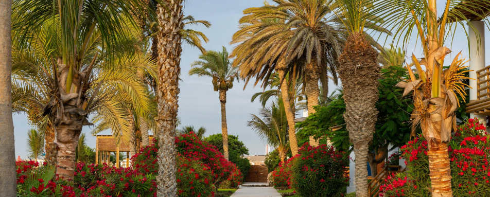 Hotel Paracas, A Luxury Collection Resort- 17