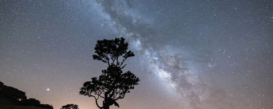 Stargazing 