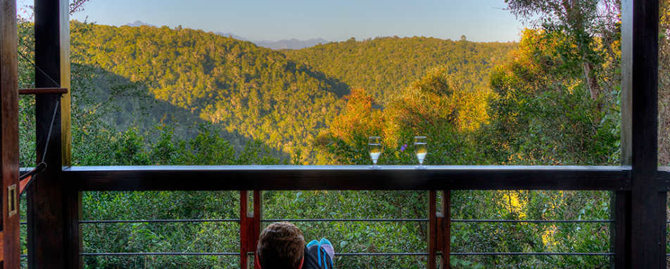 Hog Hollow Country Lodge- 41