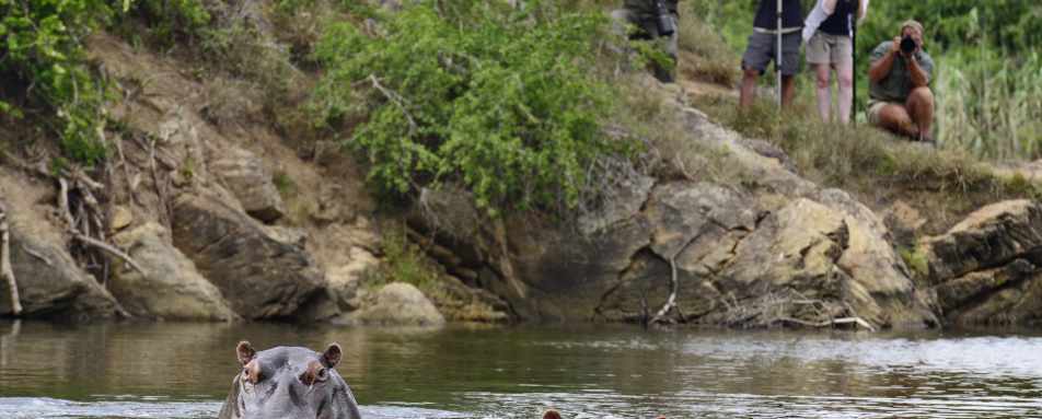 Kariega River Lodge- 25