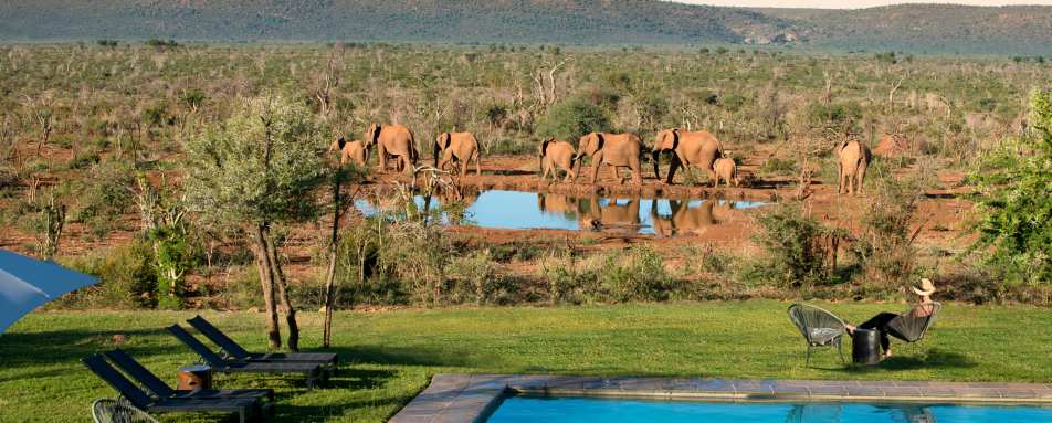Madikwe Safari Lodge- 66