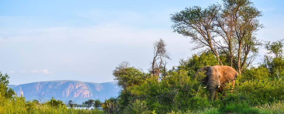 Marataba Safari Lodge- 54