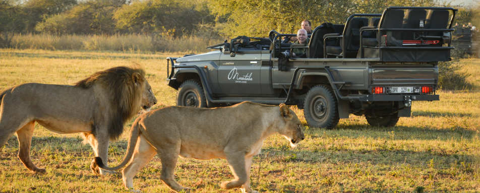 Marataba Safari Lodge- 38