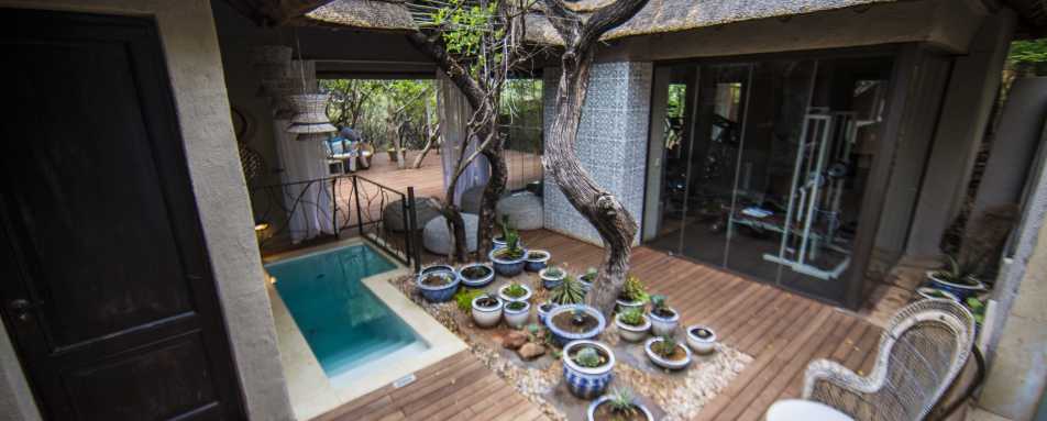 Molori Safari Lodge- 59