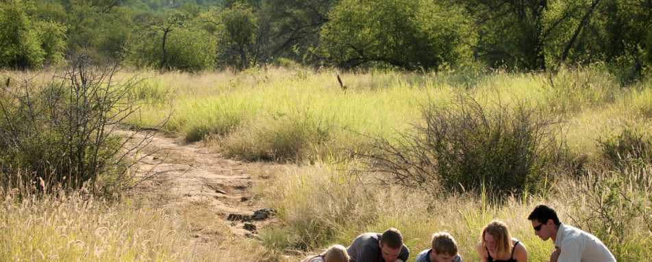 bush walks1 