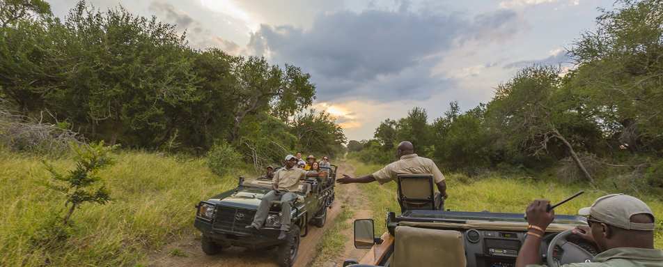 Saseka Tented Camp- 44