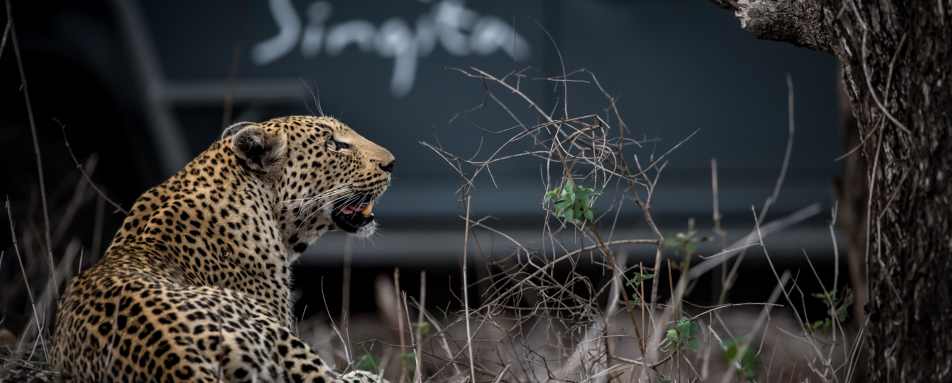 Singita Ebony Lodge- 27