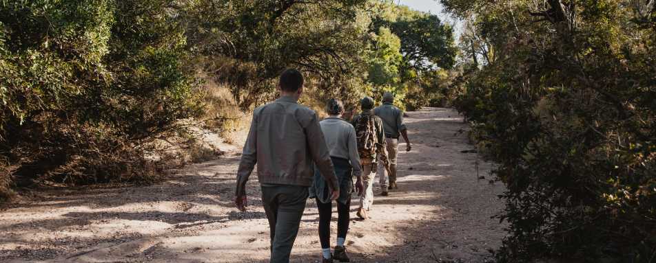 Tanda Tula Safari Camp- 19