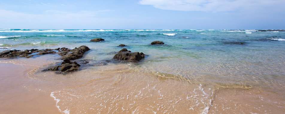 Thonga Beach Lodge- 10