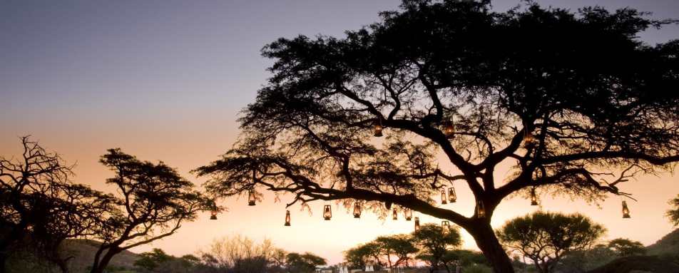 Bush Dinner - Tswalu Kalahari Reserve