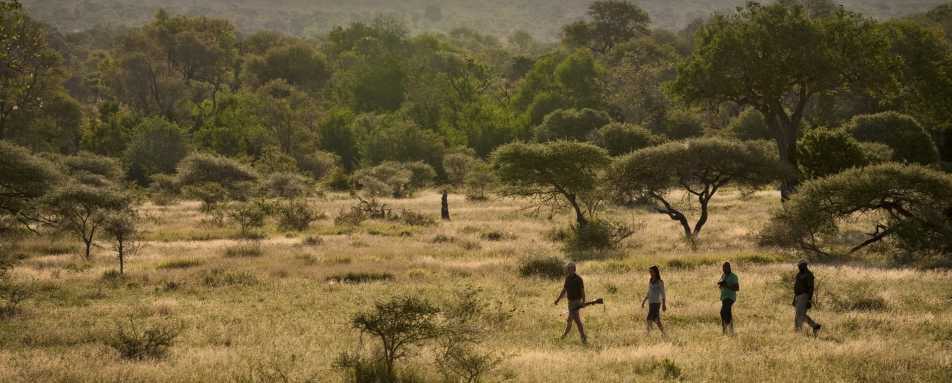 Activities at Lion Sands