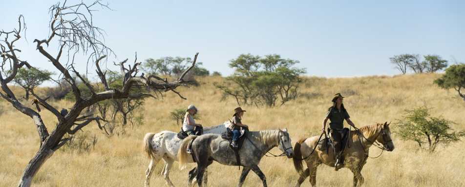 Tswalu riding 