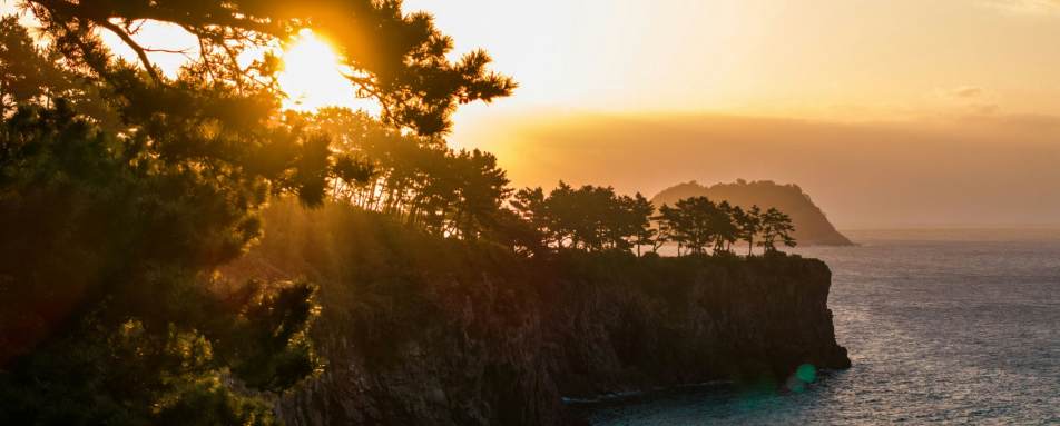 JW Marriott Jeju Resort & Spa- 143