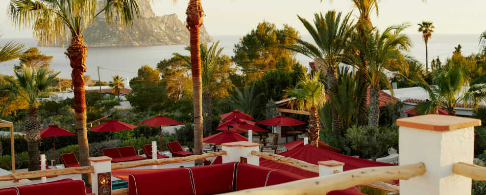 Petunia Ibiza- 131