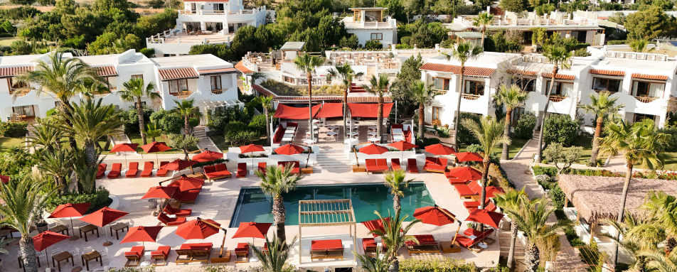 Petunia Ibiza- 140