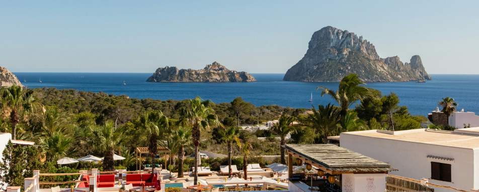 Petunia Ibiza- 20