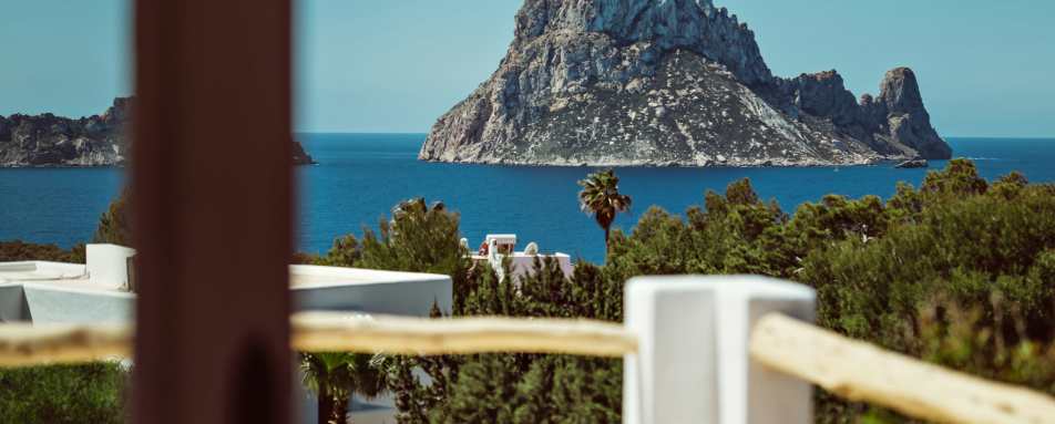 Petunia Ibiza- 13