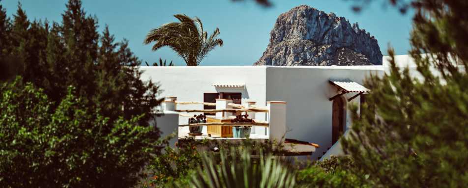 Petunia Ibiza- 29