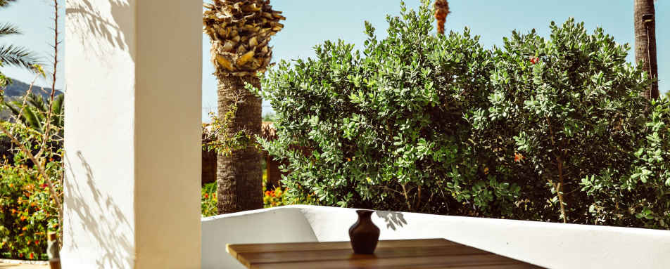 Petunia Ibiza- 56