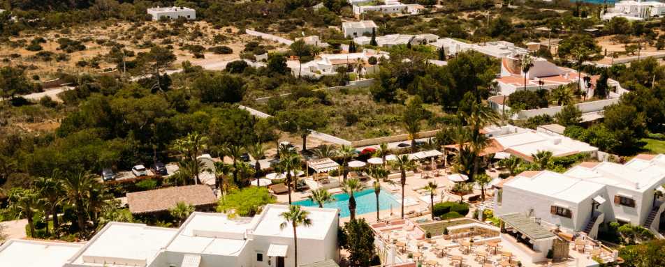 Petunia Ibiza- 42