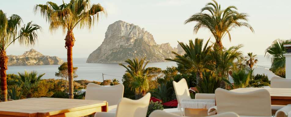 Petunia Ibiza- 136