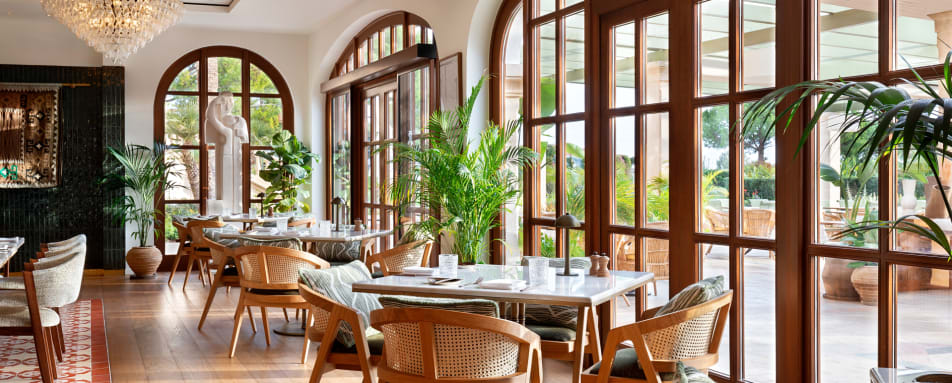 RestaurantTerra 