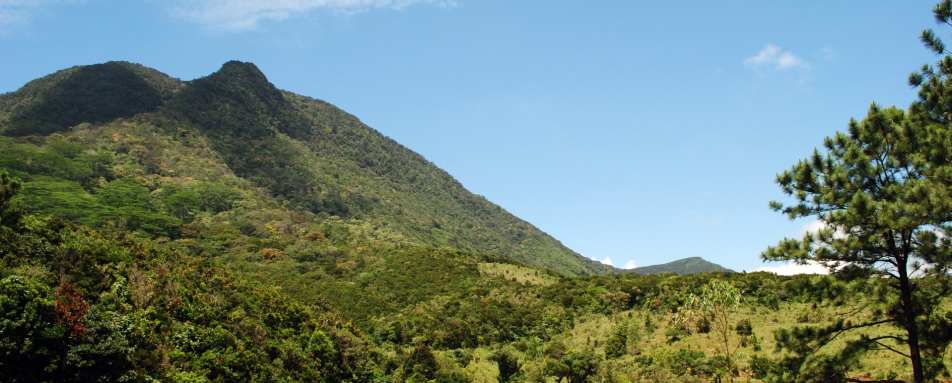 Trekking in the Knuckles Range