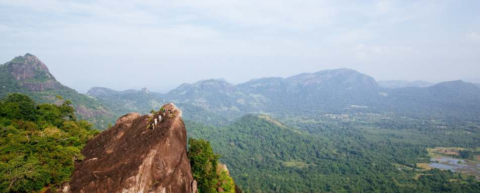 Monkey Mountain 