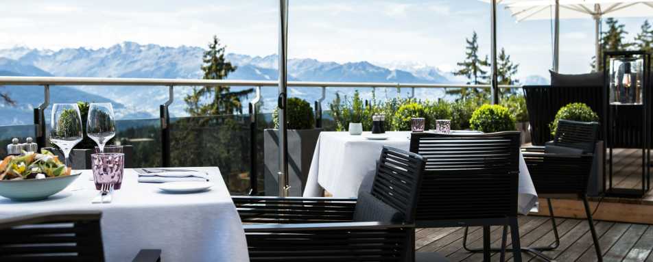 Crans Ambassador- 69