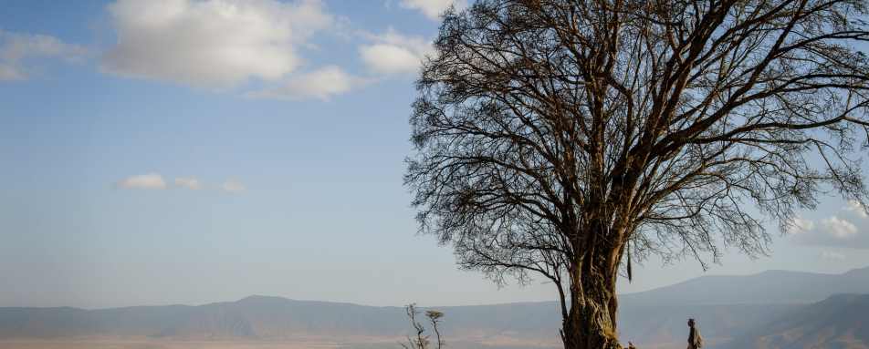 Entamanu Ngorongoro- 31