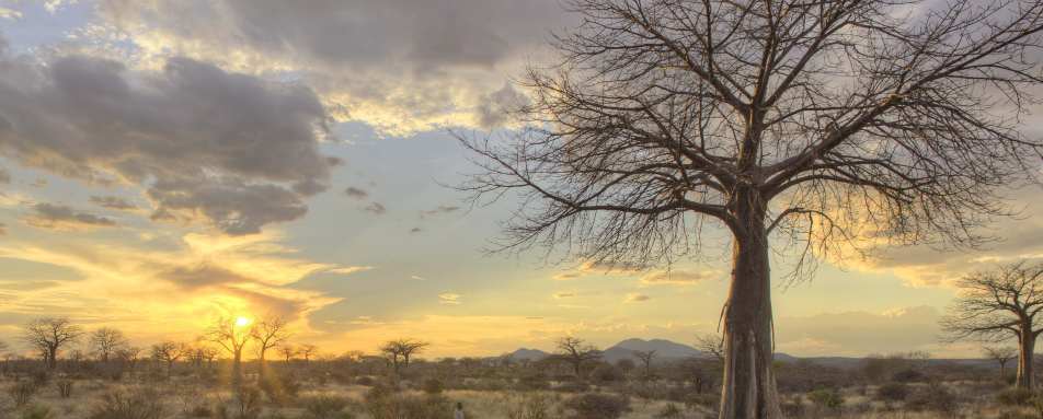 Jabali Ridge- 13
