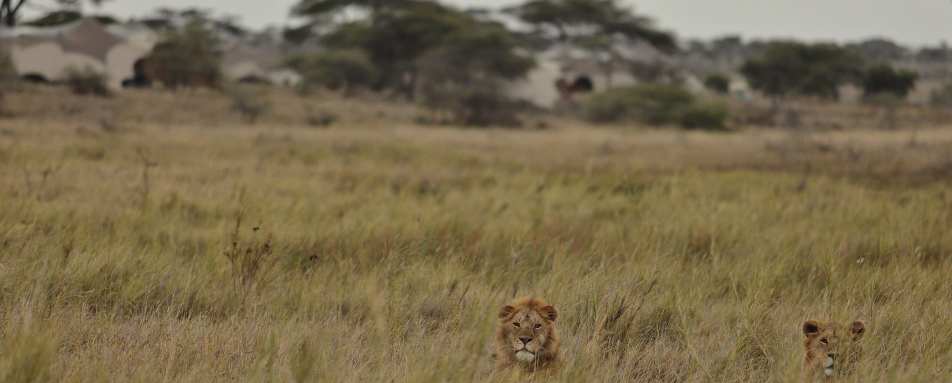 Namiri Plains Camp- 14