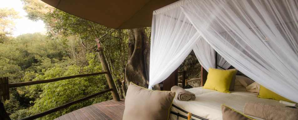 Treehouse sleepout - Rubondo Island Lodge