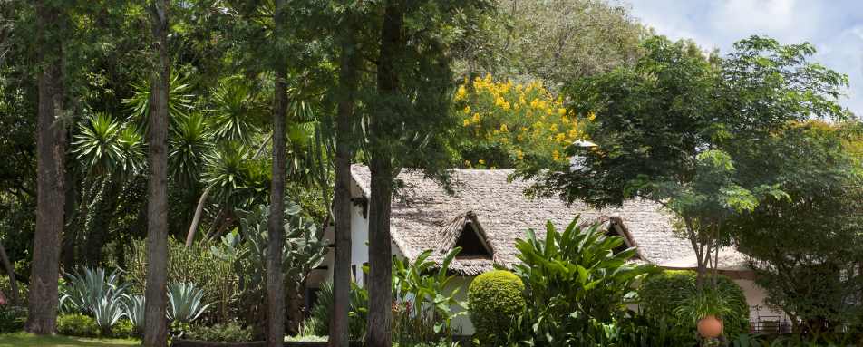 The Plantation Lodge- 12