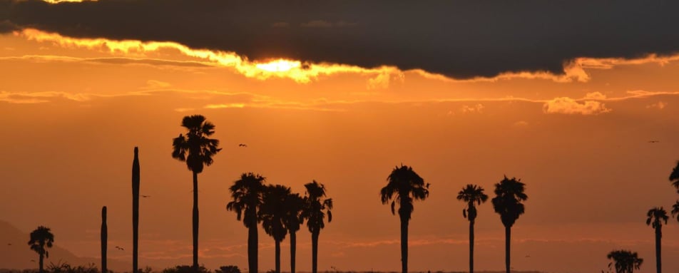 Sunsets over the Rufiji