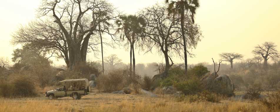Game Drives