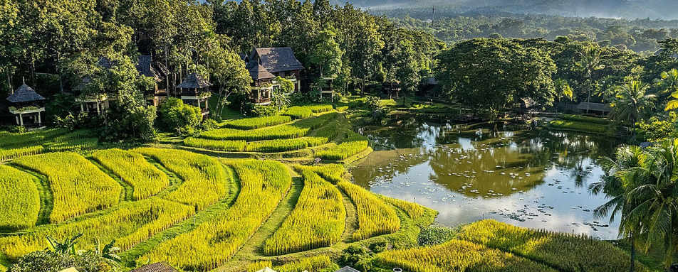 Four Seasons Resort Chiang Mai- 14