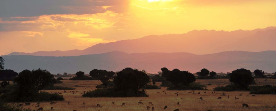 Ishasha Wilderness Camp- 22