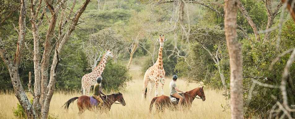 Mihingo Lodge- 32