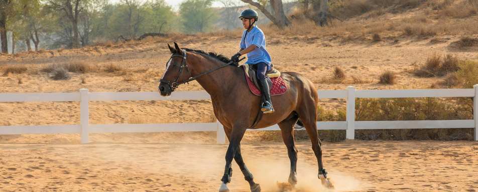 The Ritz-Carlton Ras Al Khaimah Al Wadi Desert- 90
