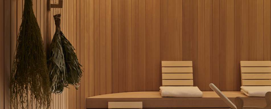 Spa  Wellness Bany 