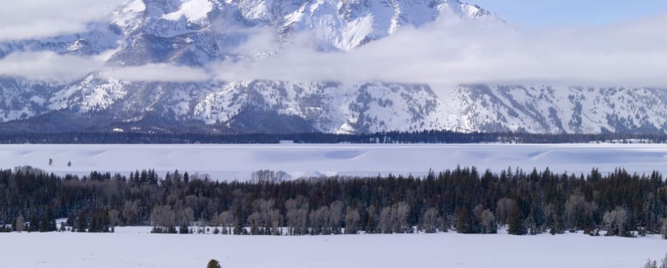 Winter Landscape 